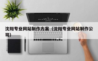 潜江沈阳专业网站制作方案（沈阳专业网站制作公司）